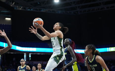 nba雨燕直播免费直播