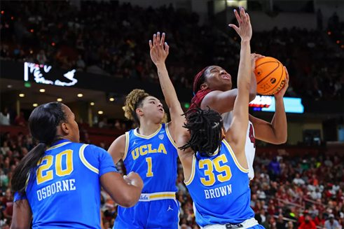 nba直播在线雨燕直播在线观看