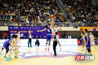 雨燕直播低调看nba