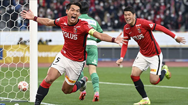 cctv8电视剧频道直播