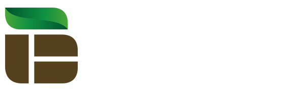 24直播网