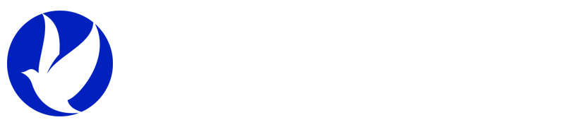 雨燕NBA直播