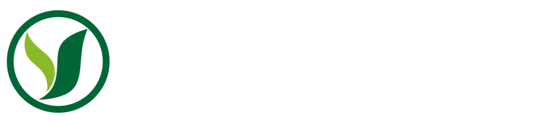 雨燕足球直播