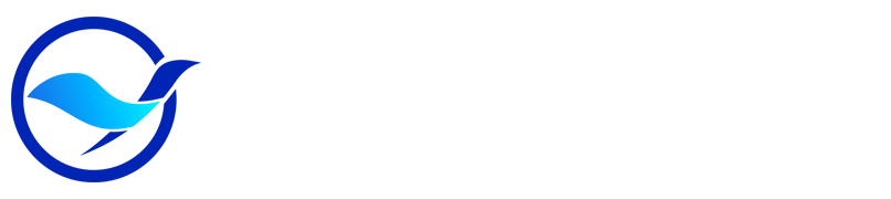 雨燕体育直播