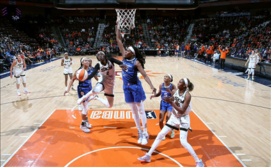 nba在线免费直播观