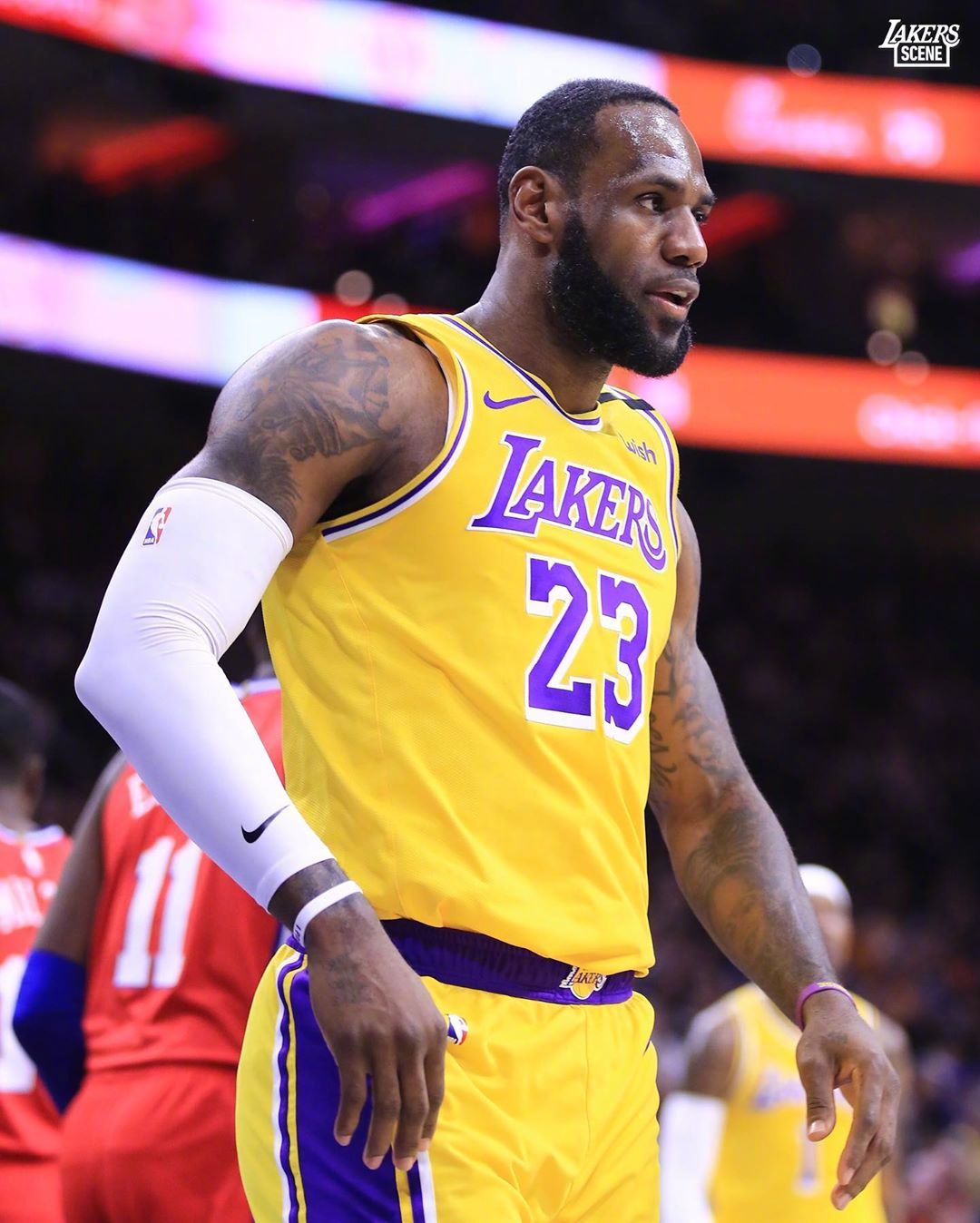 低调jrs直播nba