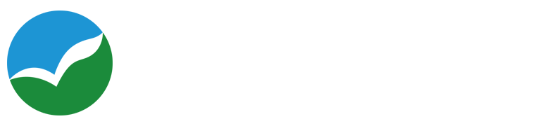 雨燕体育直播