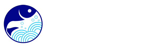 雨燕直播