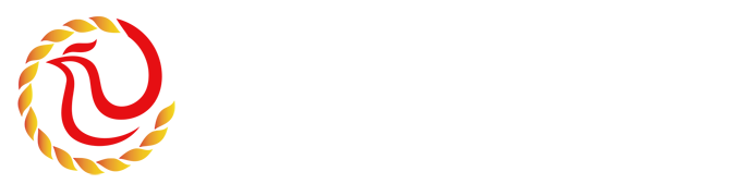 雨燕足球